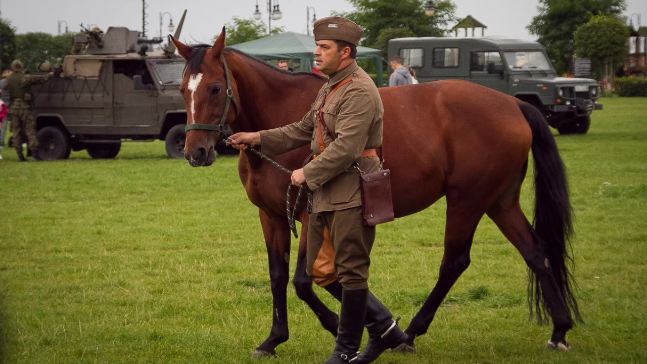Tczew - Piknik historyczno - militarny na bulwarze