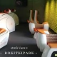 Tczew - Vacu w RokitkiPark