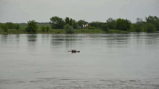 Tczew - Pogotowie przeciwpowodziowe dla Tczewa, przerwane prace na Moście Tczewskim
