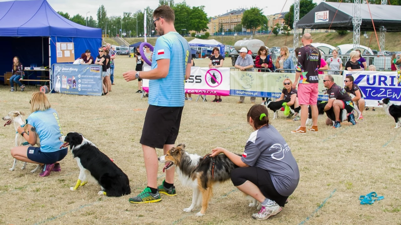 Tczew - Foodtrucki i Flyball nad Wisłą