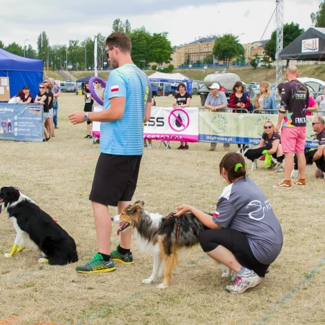 Tczew - Foodtrucki i Flyball nad Wisłą