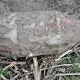 Tczew - Podczas prac polowych wykopali bombę z czasów II wojny światowej