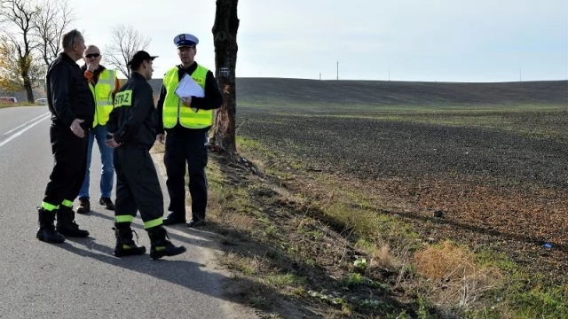 Tczew - Wytną drzewo, po zderzeniu z którym zginęły matka i córka