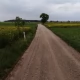 Tczew - Gm. Pelplin. Termin rozpoczęcia równania dróg gruntowych przesunięty