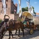 Tczew - Bryczką z Katowic dookoła Polski - Jan Holewnik dojechał do Gniewa