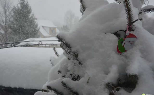 Tczew - Atak zimy. Noc pełna strażackich interwencji