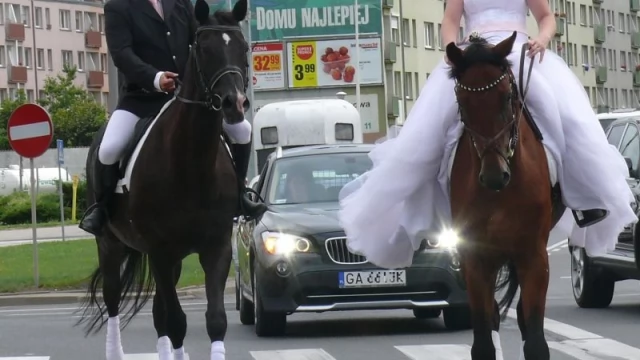 Tczew - Wierzchem przez miasto. Tak się teraz jeździ do ślubu!