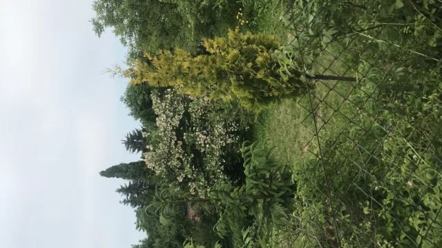 Tczew - Działka ogrodowa ROD im. Henryka Sienkiewicza