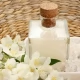 Tczew - Najlepsze perfumy męskie o zapachu jaśminu