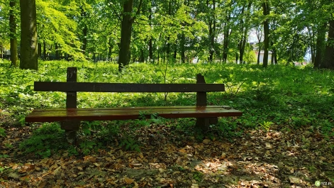 Tczew - Miejski plan adaptacji do zmian klimatu