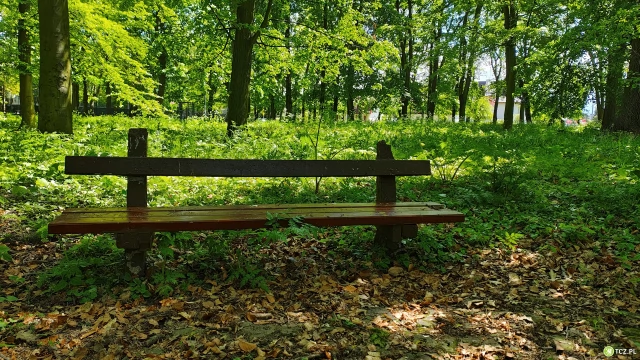 Tczew - Miejski plan adaptacji do zmian klimatu