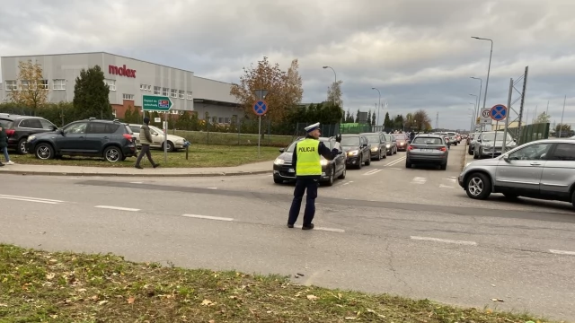 Tczew - 7 kolizji w pierwsze dni listopada - w tym zderzenie z sarną, dzikiem oraz cielakiem
