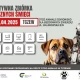 Tczew - Wyrzuć elektrośmieci - i pomóż czworonogom!