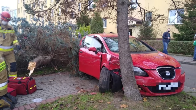 Tczew - Ul. Armii Krajowej. Po zderzeniu z osobówką drzewo spadło na spacerowicza [WIDEO]