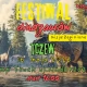 Tczew - Festiwal Dinozaurów