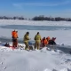Tczew - Lód załamał się pod sarną. Strażacy ruszyli na pomoc