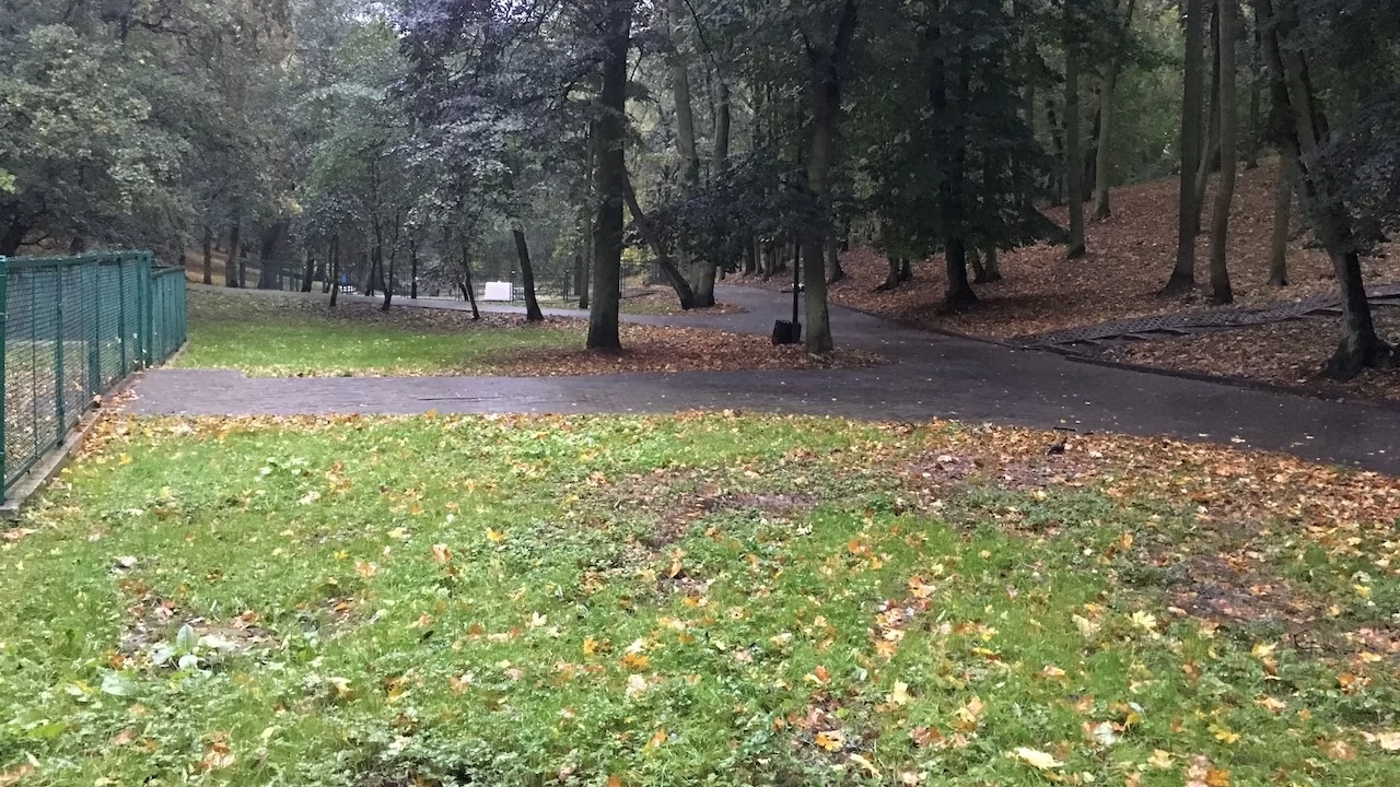 Tczew - Park Miejski jesienią z dnia 7.10.2016
