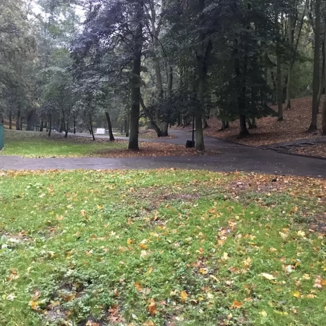 Tczew - Park Miejski jesienią z dnia 7.10.2016