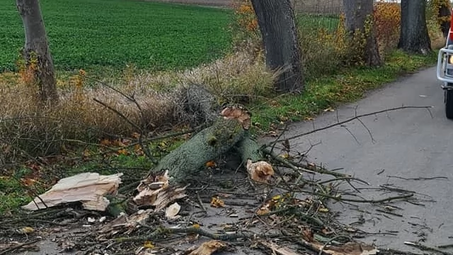 Tczew - Strażacy i energetycy walczą ze skutkami silnego wiatru [AKTUALIZACJA]