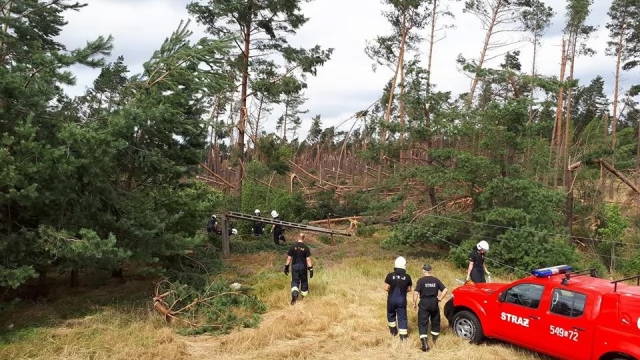 Tczew - Ostatnie dni to okres wytężonej pracy dla energetyków i strażaków