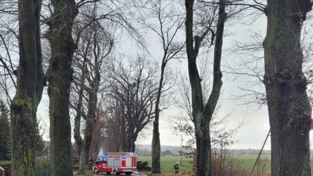 Tczew - Połamane drzewa, odbiorcy bez prądu - wichura w powiecie tczewskim