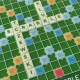Tczew - Postanowiłam założyć Klub Scrabble... Dołączysz?