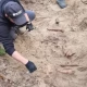 Tczew - Ludzkie kości i granat w lesie pod Gniewem