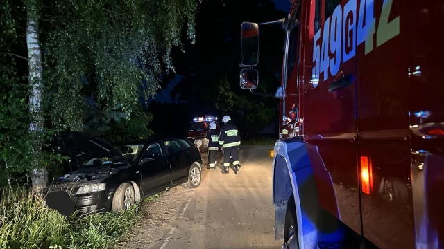 Tczew - Trzy osoby poszkodowane po uderzeniu w drzewo