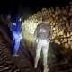 Tczew - Akcja "Choinka". Leśnicy i policja na wspólnym patrolu
