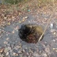 Tczew - Dziura jak lej po bombie. A jeśli ktoś wpadnie lub wjedzie?