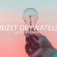 Tczew - Ruszyło głosowanie na projekty do Budżetu Obywatelskiego Tczewa