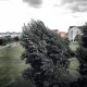 Tczew - Wieczorem i w nocy może silnie wiać
