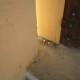 Tczew - Kolejna parafia "pod obstrzalem". Obrzucono kościół jajkami (?)