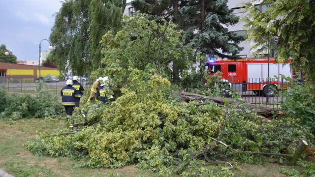 Tczew - Gwałtowne załamanie pogody - straż ma ręce pełne roboty [FOTO, WIDEO]