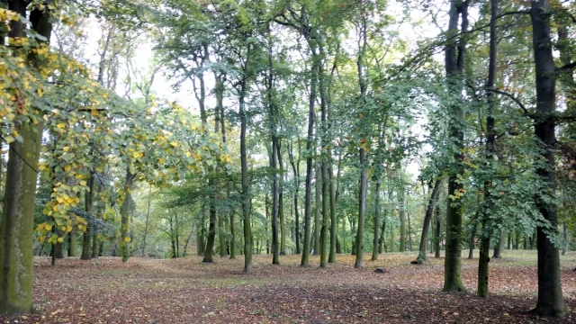 Tczew - Przedwyborczy spór o park - jest wyrok, będą przeprosiny [AKTUALIZACJA]