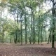 Tczew - Przedwyborczy spór o park - jest wyrok, będą przeprosiny [AKTUALIZACJA]