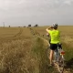 Tczew - Powiśle i Kociewie rowerem