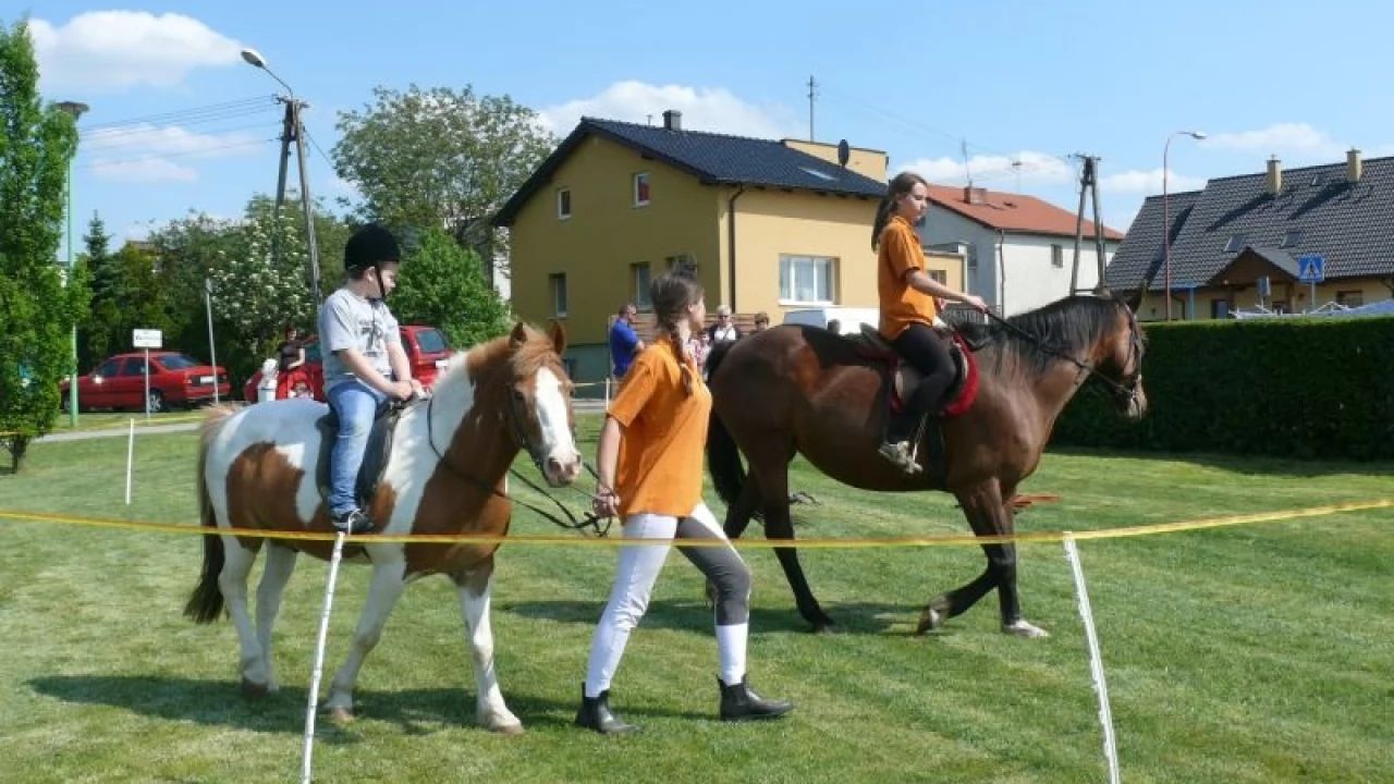 Tczew - Rodzinnie na Górkach