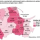 Tczew - Ilu cudzoziemców pracuje w powiecie tczewskim?
