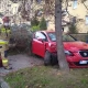 Tczew - Ul. Armii Krajowej. Po zderzeniu z osobówką drzewo spadło na spacerowicza [WIDEO]