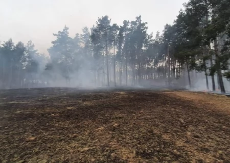 Tczew - Płonął las. Strażacy opanowali sytuację
