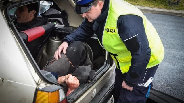 Tczew - A1. 15 osób rannych, uszkodzony dystrybutor z gazem. Na szczęście to ćwiczenia