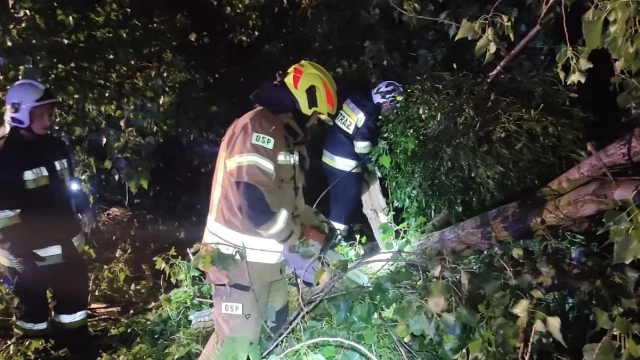 Tczew - Ponad 50 strażackich interwencji po burzach w powiecie tczewskim