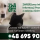 Tczew - ZWIERZowa Infolinia Bezpłatnej Informacji Prawnej z Zakresu Ochrony Zwierząt