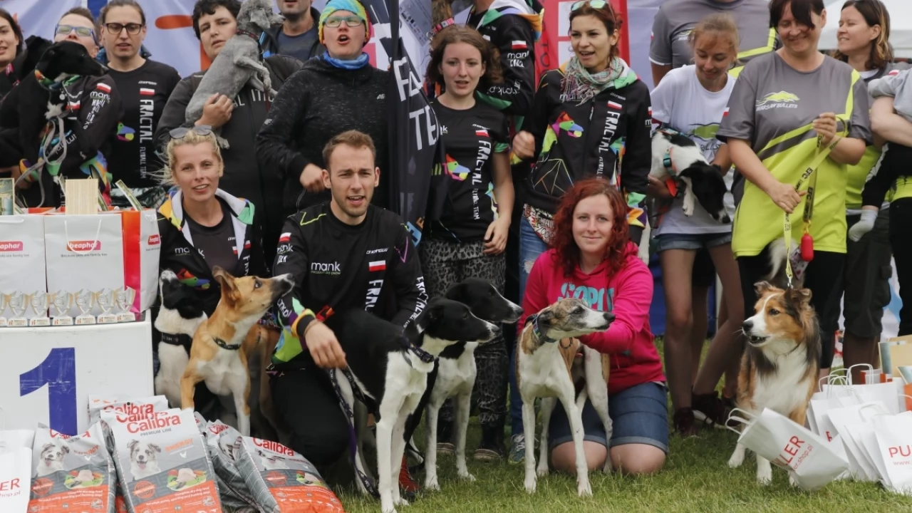 Tczew - Zawody Flyball, czyli wyścig psich sztafet