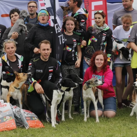 Tczew - Zawody Flyball, czyli wyścig psich sztafet