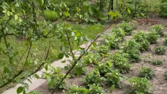 Tczew - Działka RODO na sprzedaż