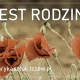 Tczew - Quest rodzinny na Światowy Dzień Kociewia