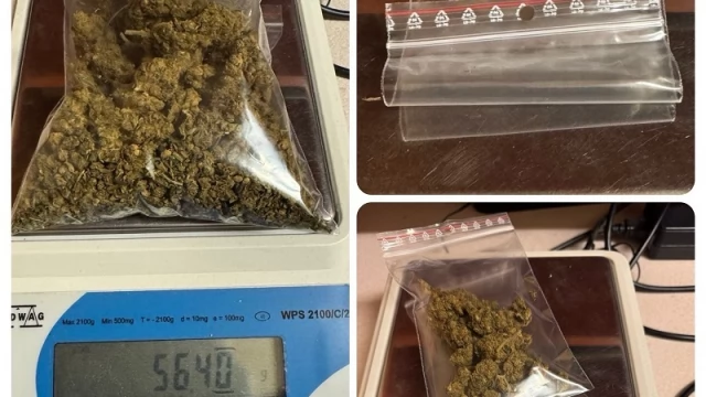 Tczew - 20-latek z zakazem prowadzenia wpadł w ręce policjantów. Marihuana w aucie i w mieszkaniu
