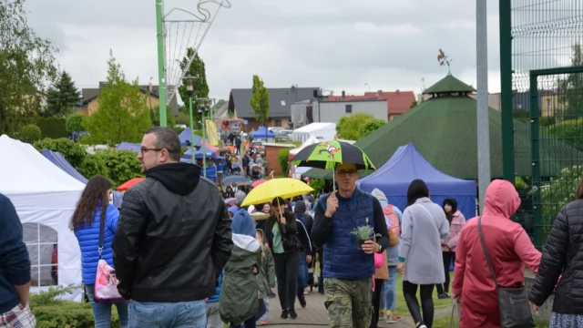 Tczew - Piknik na Górkach